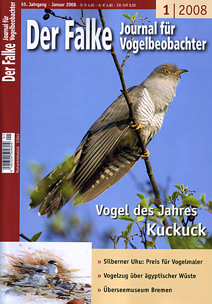 Article text